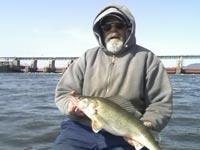 Mississippi Fishing Guide